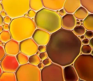 Black Seed Oil